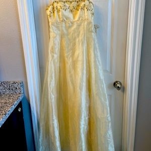 Morgan and Co prom dress